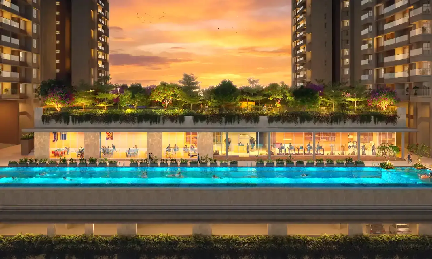 Amenities View